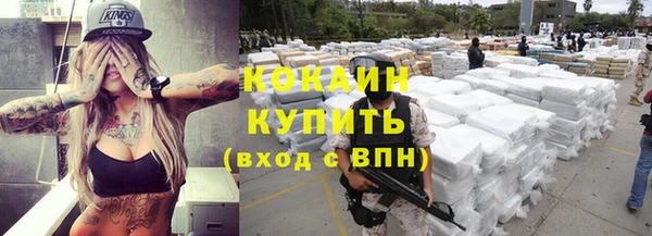 твердый Алексин