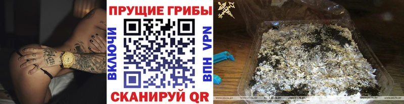 Псилоцибиновые грибы GOLDEN TEACHER  Гдов 