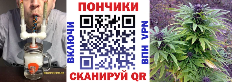 Бошки Шишки Bruce Banner  Гдов 