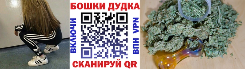 Бошки марихуана ГИДРОПОН Гдов